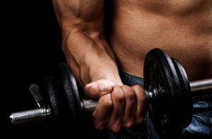 Fitness - powerful muscular man lifting weights